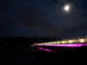 Port St. Maarten Celebrates Successful Completion of Simpson Bay Causeway Bridge Lighting Upgrade