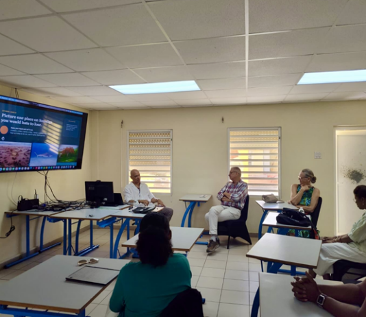Soualigans Develop Environmental Justice Statement During St. Martin Book Fair