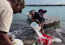 BHRO STATEMENT: MASBANGO FISHERMEN AND BONAIRE’S PEOPLES RIGHTS