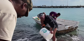BHRO STATEMENT: MASBANGO FISHERMEN AND BONAIRE’S PEOPLES RIGHTS