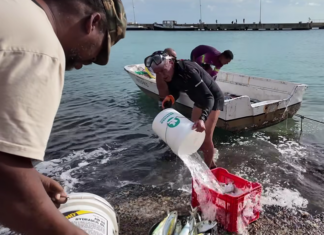 BHRO STATEMENT: MASBANGO FISHERMEN AND BONAIRE’S PEOPLES RIGHTS
