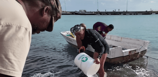BHRO STATEMENT: MASBANGO FISHERMEN AND BONAIRE’S PEOPLES RIGHTS