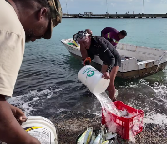 BHRO STATEMENT: MASBANGO FISHERMEN AND BONAIRE’S PEOPLES RIGHTS