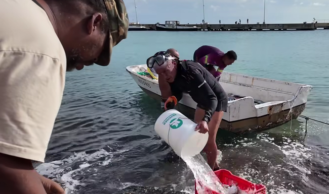 BHRO STATEMENT: MASBANGO FISHERMEN AND BONAIRE’S PEOPLES RIGHTS