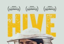 Minister Plenipotentiary Arrindell attends Special Screening of Award-Winning Film Hive