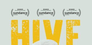 Minister Plenipotentiary Arrindell attends Special Screening of Award-Winning Film Hive