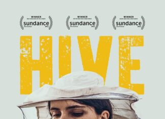 Minister Plenipotentiary Arrindell attends Special Screening of Award-Winning Film Hive