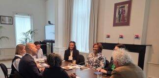 Minister Plenipotentiary Arrindell meets with Expert Group on the Democratic Deficit within the Kingdom