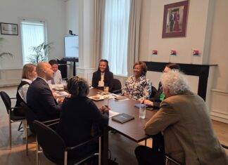 Minister Plenipotentiary Arrindell meets with Expert Group on the Democratic Deficit within the Kingdom