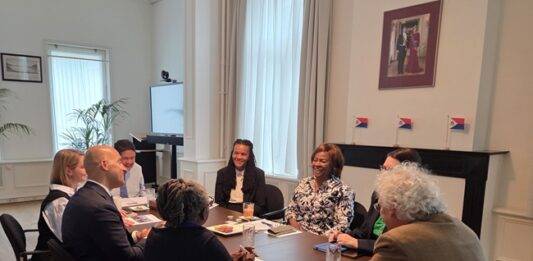 Minister Plenipotentiary Arrindell meets with Expert Group on the Democratic Deficit within the Kingdom