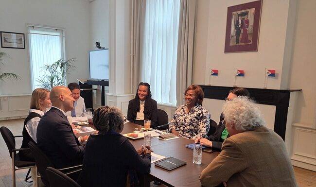 Minister Plenipotentiary Arrindell meets with Expert Group on the Democratic Deficit within the Kingdom