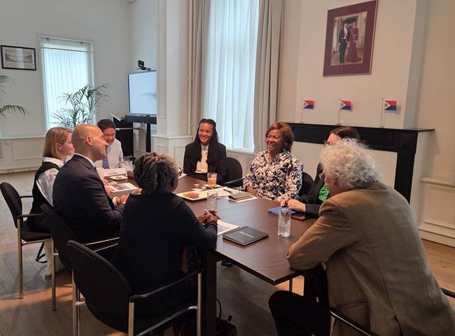 MinPLEN GA Team of Experts Democratic Deficit Meeting