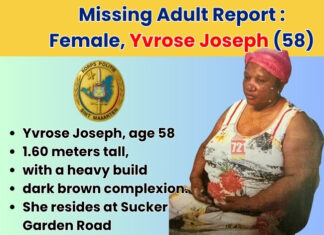 Missing Adult Report : Female, Yvrose Joseph (58)