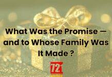 What Was the Promise — and to Whose Family Was It Made ?