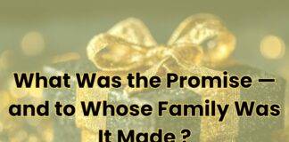 What Was the Promise — and to Whose Family Was It Made ?
