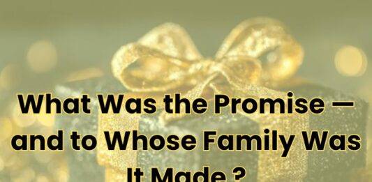 What Was the Promise — and to Whose Family Was It Made ?