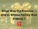 What Was the Promise — and to Whose Family Was It Made ?