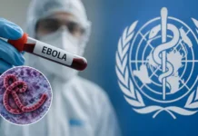 Sint Maarten Issues Public Health Advisory & Travel Restrictions as Ebola Prevention Measures