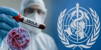 Sint Maarten Issues Public Health Advisory & Travel Restrictions as Ebola Prevention Measures