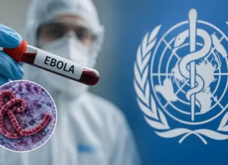 Sint Maarten Issues Public Health Advisory & Travel Restrictions as Ebola Prevention Measures
