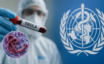 Sint Maarten Issues Public Health Advisory & Travel Restrictions as Ebola Prevention Measures