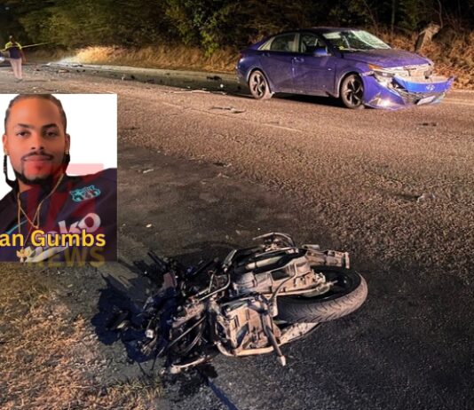 Fatal Traffic Accident Claims Another Life on Brouwers Road