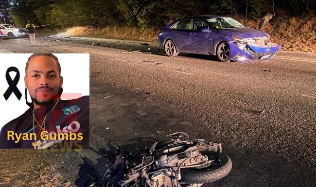 Fatal Traffic Accident Claims Another Life on Brouwers Road