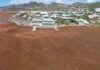 Seasonal Sargassum Seaweed Present in Coastal Areas. CPS Urges Community to Continue to take Health Precautions