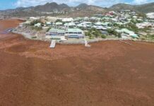 Seasonal Sargassum Seaweed Present in Coastal Areas. CPS Urges Community to Continue to take Health Precautions