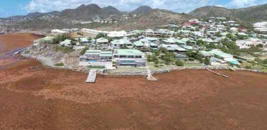 Seasonal Sargassum Seaweed Present in Coastal Areas. CPS Urges Community to Continue to take Health Precautions