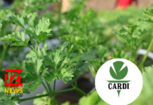 CARDI Launches Inaugural Agricultural Research and Innovation Symposium to Advance Regional Food Security and Climate Resilience