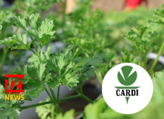 CARDI Launches Inaugural Agricultural Research and Innovation Symposium to Advance Regional Food Security and Climate Resilience