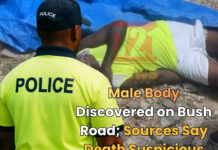 Male Body Discovered on Bush Road; Sources Say Death Suspicious
