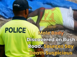 Male Body Discovered on Bush Road; Sources Say Death Suspicious