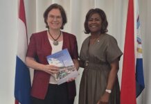 Minister Plenipotentiary Arrindell welcomes MEP Marit Maij and Discuss Relationship between EU and OCTs