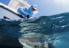 Premios Verdes Recognizes Caribbean Marine Conservation Initiative Among Regional Projects Advancing Environmental and Social Impact