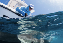 Premios Verdes Recognizes Caribbean Marine Conservation Initiative Among Regional Projects Advancing Environmental and Social Impact
