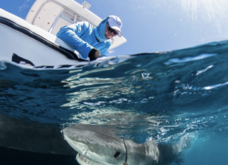 Premios Verdes Recognizes Caribbean Marine Conservation Initiative Among Regional Projects Advancing Environmental and Social Impact