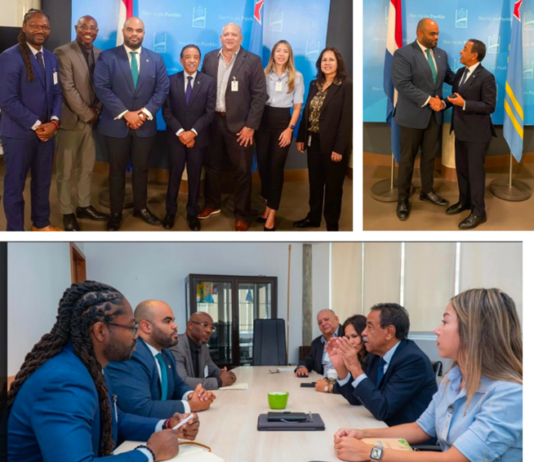 VROMI & KADASTER STRENGTHEN TIES WITH ARUBA ON INFRASTRUCTURE/DATA MANAGEMENT