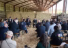 St. Martin backs tax relief aimed at boosting local agriculture