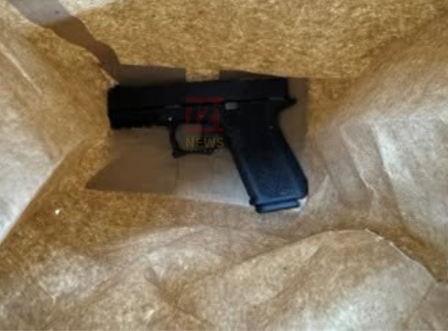 gun 1