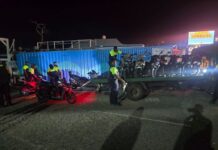 General safety controls aid to confiscate illegal weapons