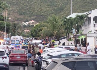 Fatal Stabbing Near PSVE School on L.B. Scott Road Under Investigation