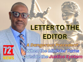 A Dangerous Precedent: When the Minister Turns Outside the Justice System