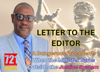 A Dangerous Precedent: When the Minister Turns Outside the Justice System
