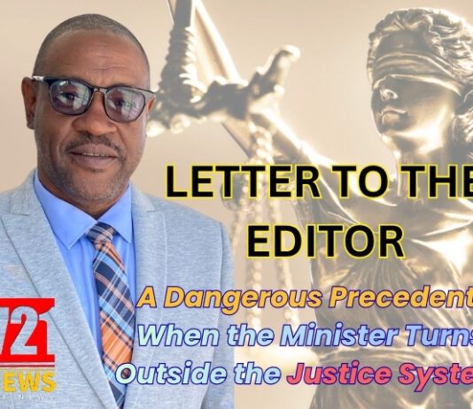 A Dangerous Precedent: When the Minister Turns Outside the Justice System