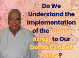Do We Understand the Implementation of the Didam Arrest to Our Domain Lands Policy?
