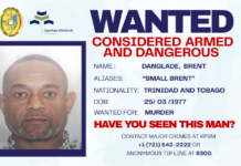 Armed and dangerous suspect remains wanted in “Alligator” double-murder investigation