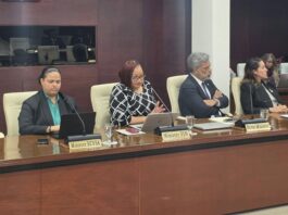 DAY 2: Parliament continues Central Committee meeting on 2027 Budget