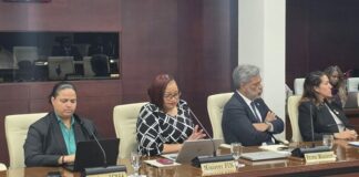 DAY 2: Parliament continues Central Committee meeting on 2027 Budget